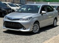 Toyota Axio 2018 Gray
