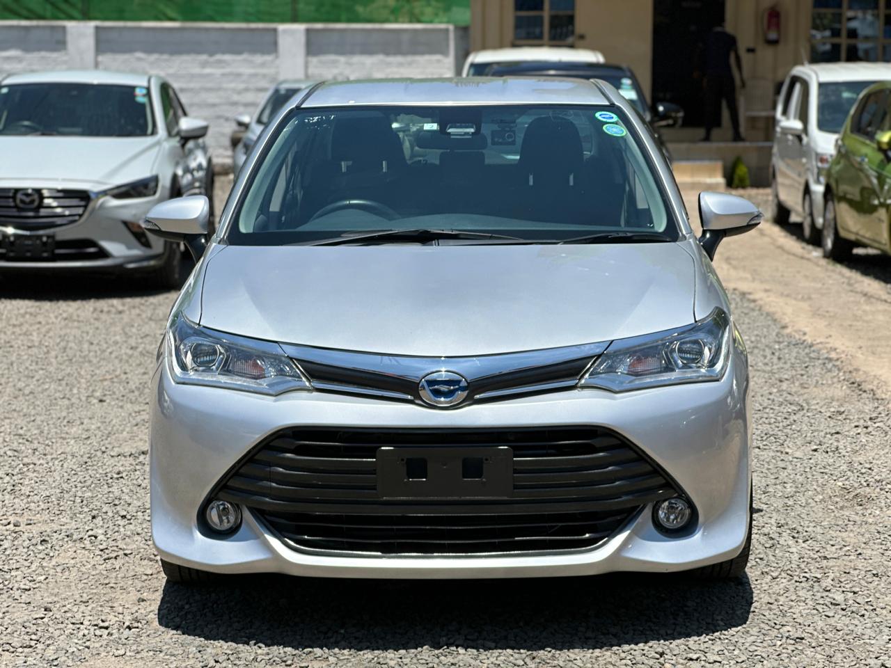 Toyota Axio 2018 Gray