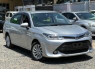 Toyota Axio 2018 Gray